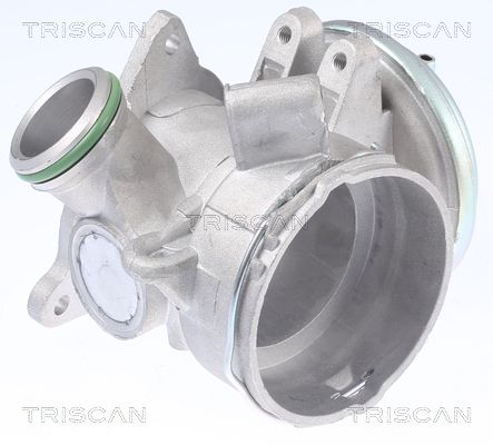 TRISCAN 8813 23032 Egr valve