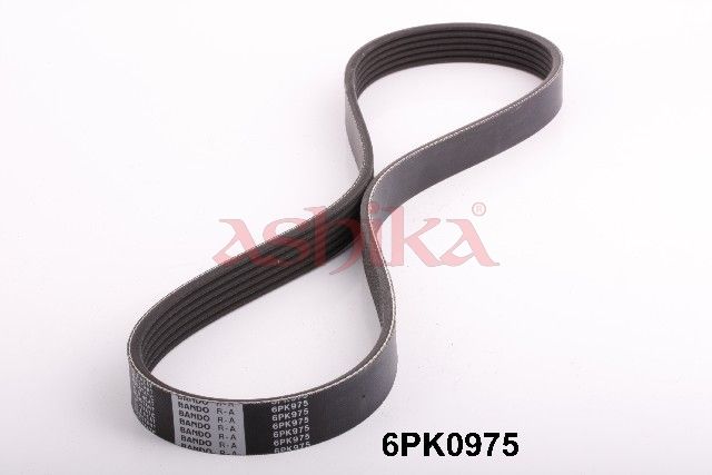ASHIKA 112-6PK975 V-ribbed belt