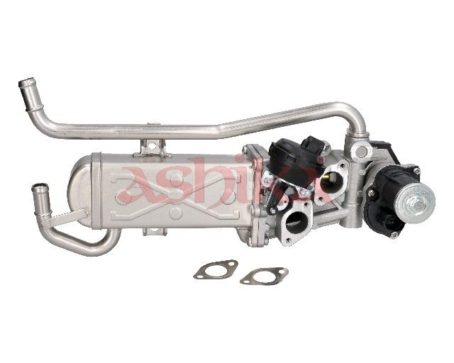 ASHIKA 150-00-0909 Egr valve