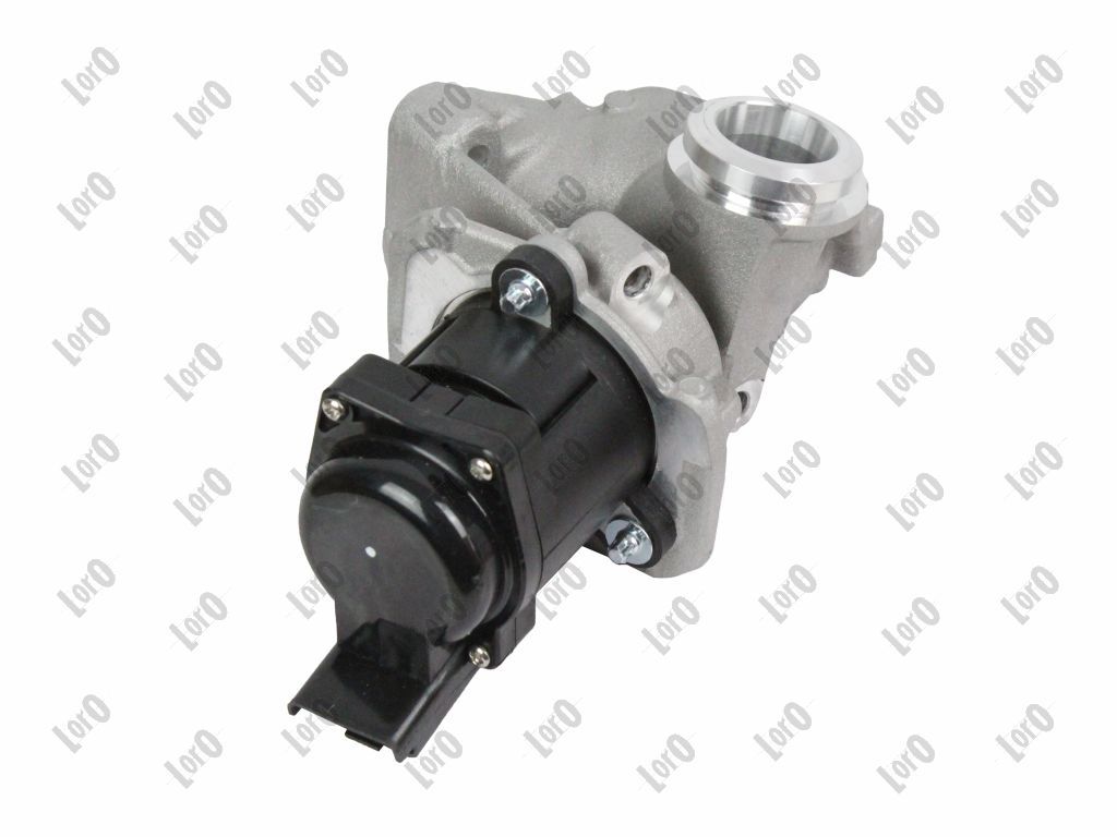 EGR Valve-4