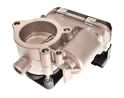 Throttle Body-1