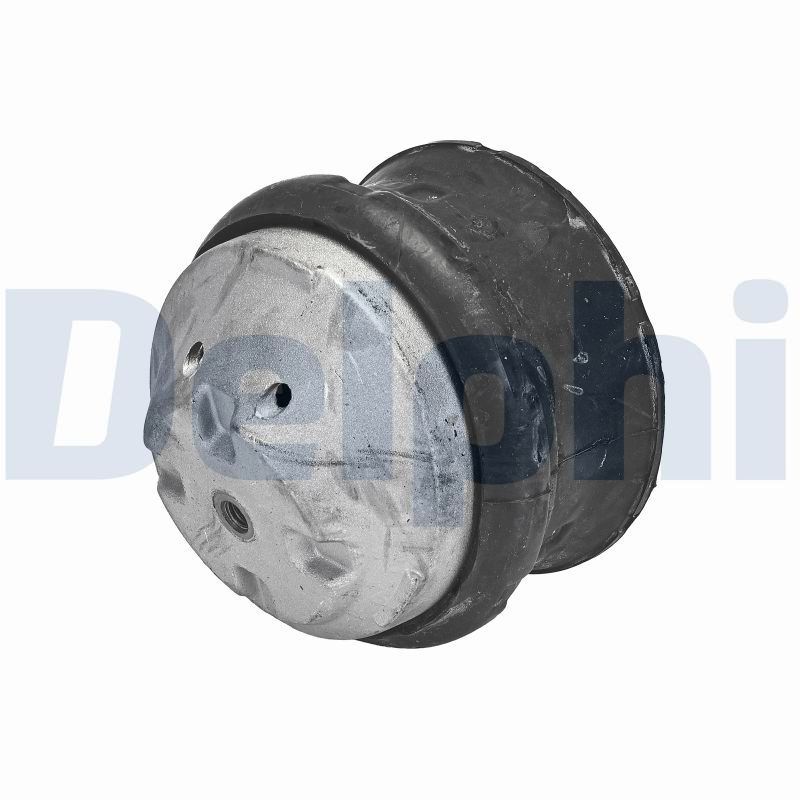 DELPHI TEM132 Mounting, engine