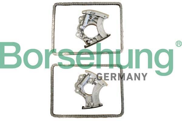 BORSEHUNG B10243 Timing chain kit