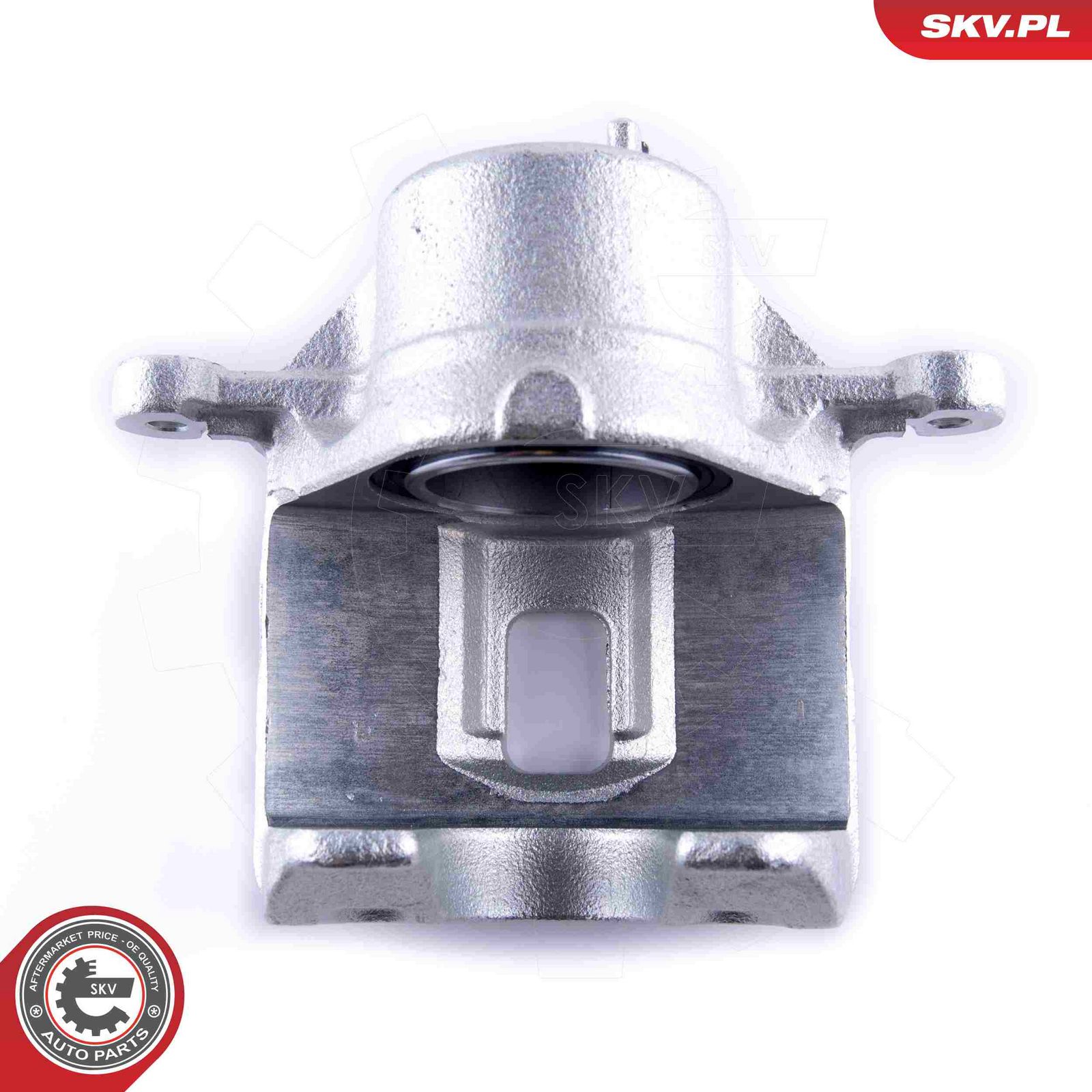 Brake Caliper-2