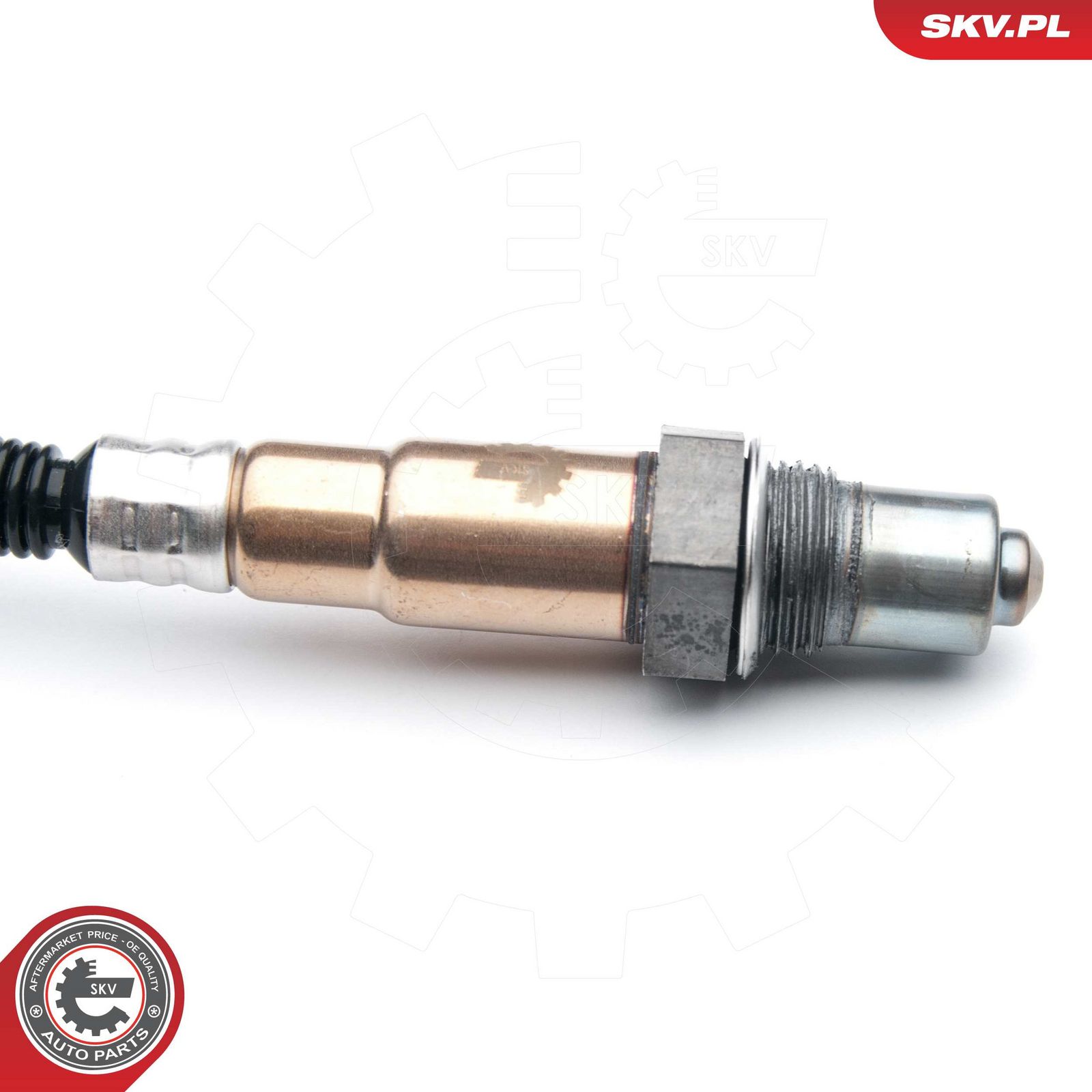 Oxygen Sensor-1