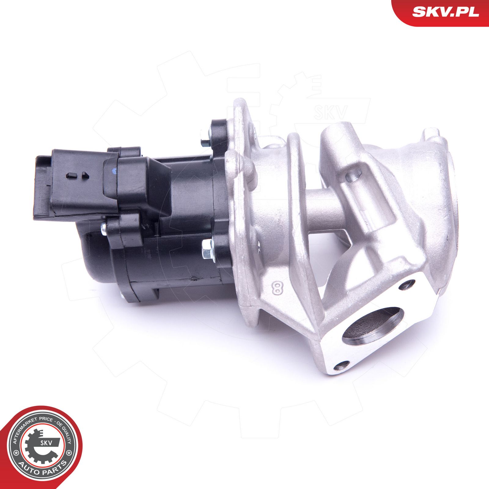 EGR Valve-3