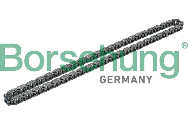 BORSEHUNG B1C009 Timing chain