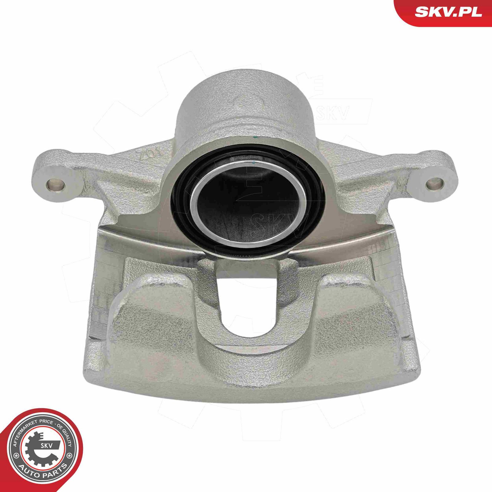 Brake Caliper-1