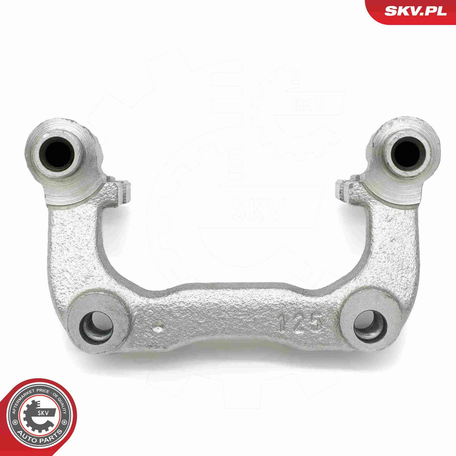 Bracket, brake caliper-3