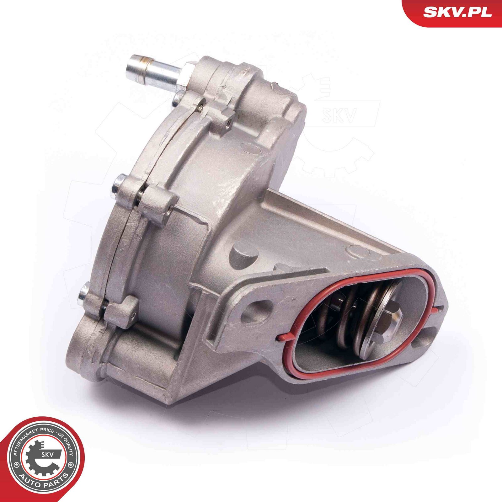 ESEN SKV 18SKV013 Vacuum pump, braking system