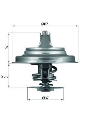 Thermostat, coolant