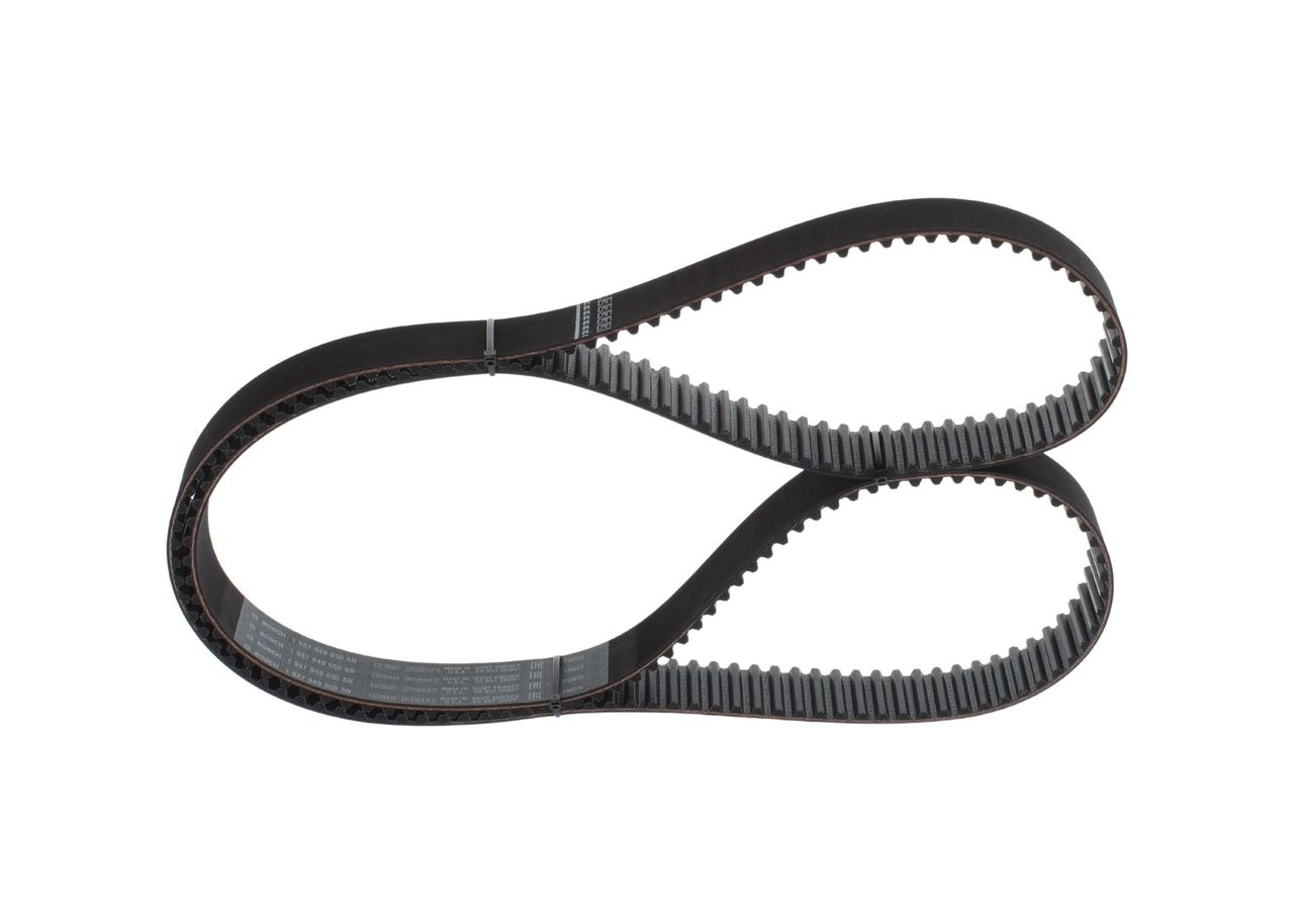 Timing Belt