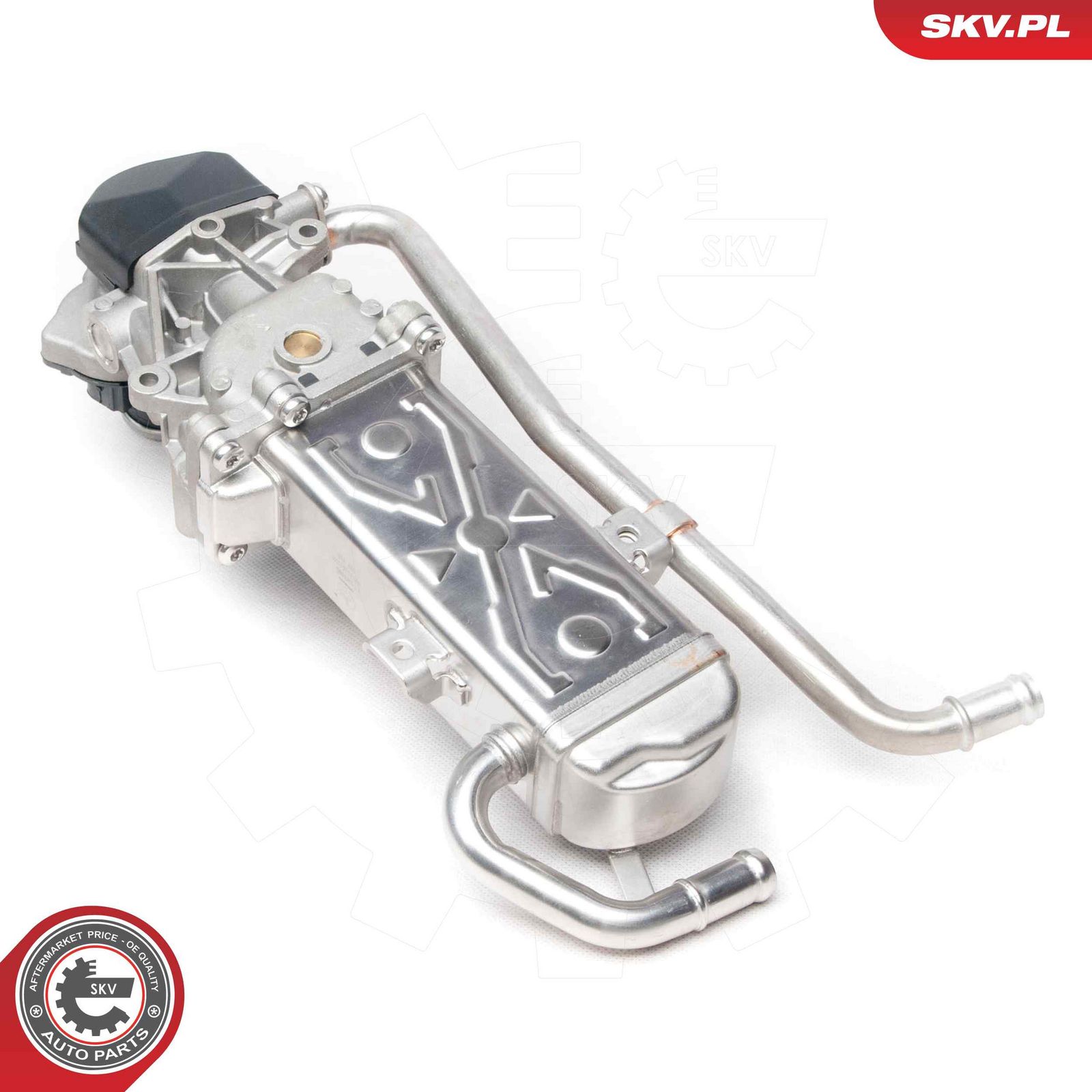EGR Valve-3