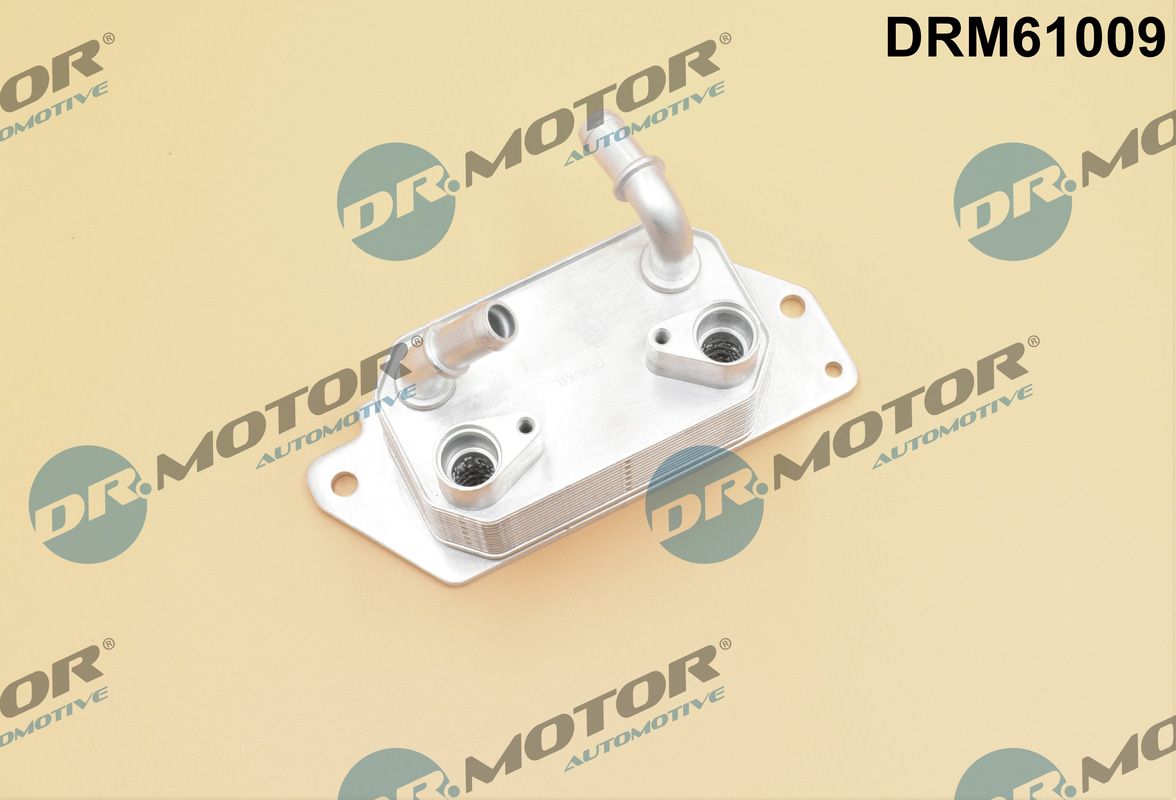 DR.MOTOR AUTOMOTIVE DRM61009 Oil cooler, automatic transmission
