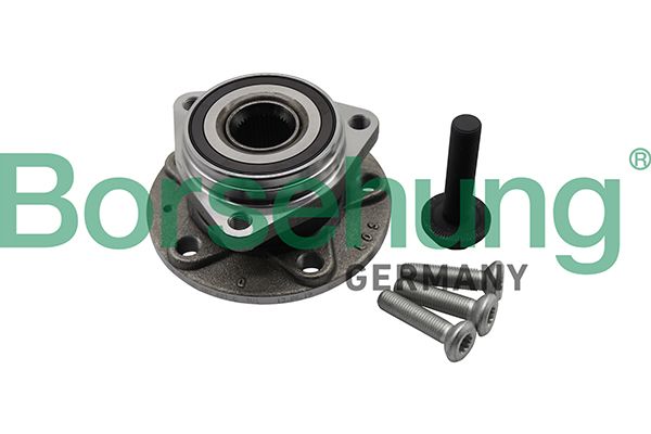 BORSEHUNG B19311 Wheel bearing kit