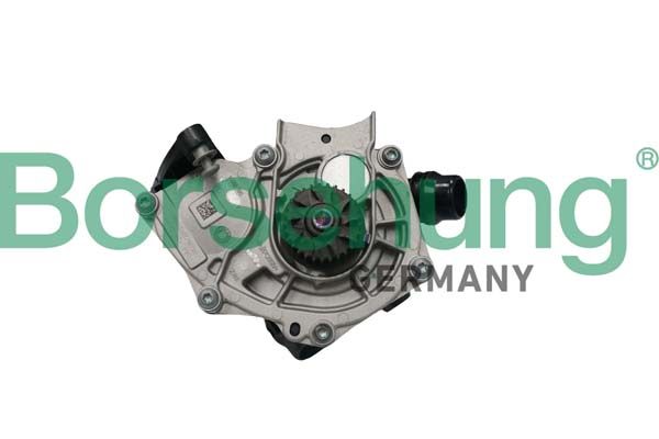 BORSEHUNG B11209 Water pump, engine cooling
