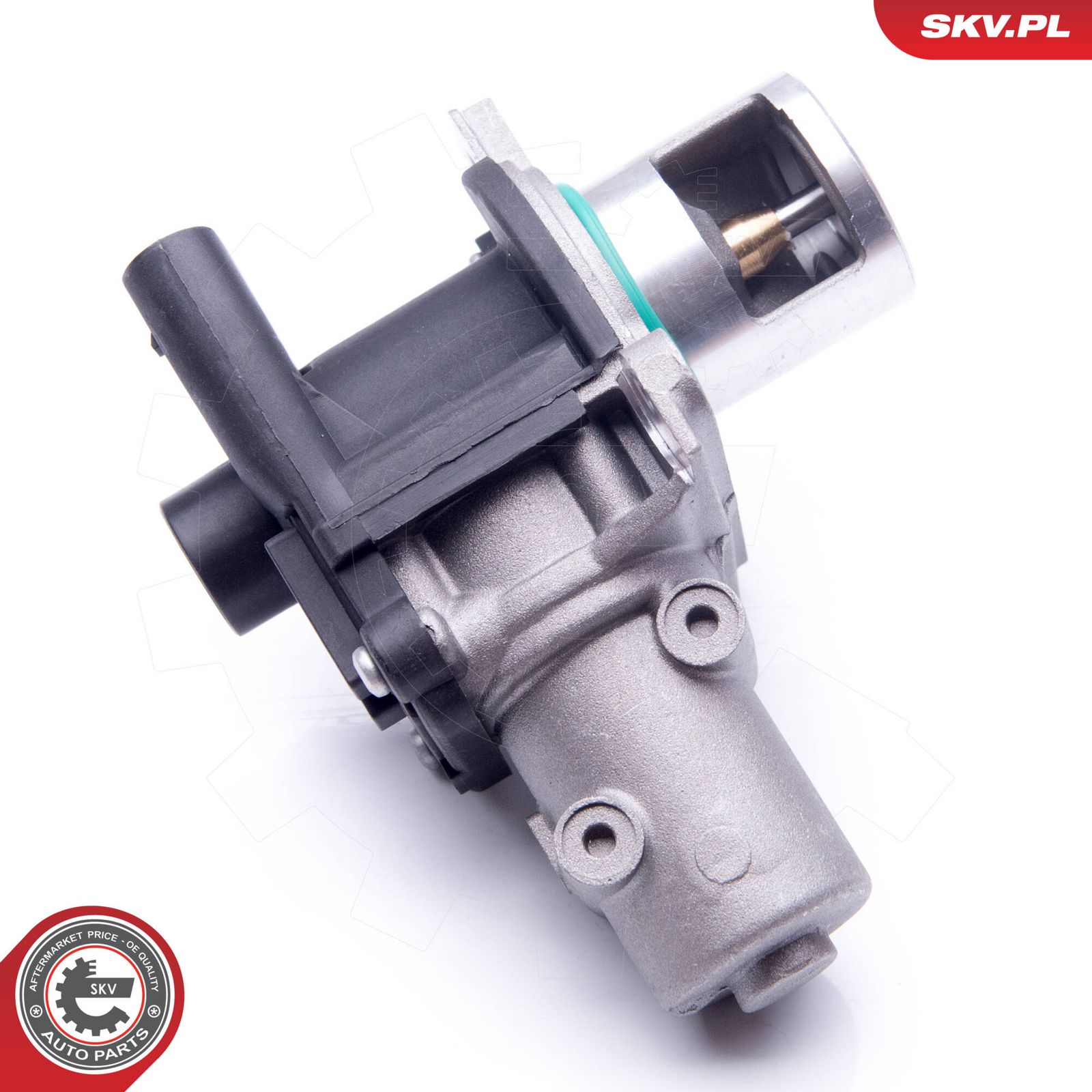 EGR Valve-3