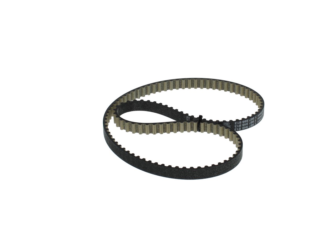 Timing Belt-2