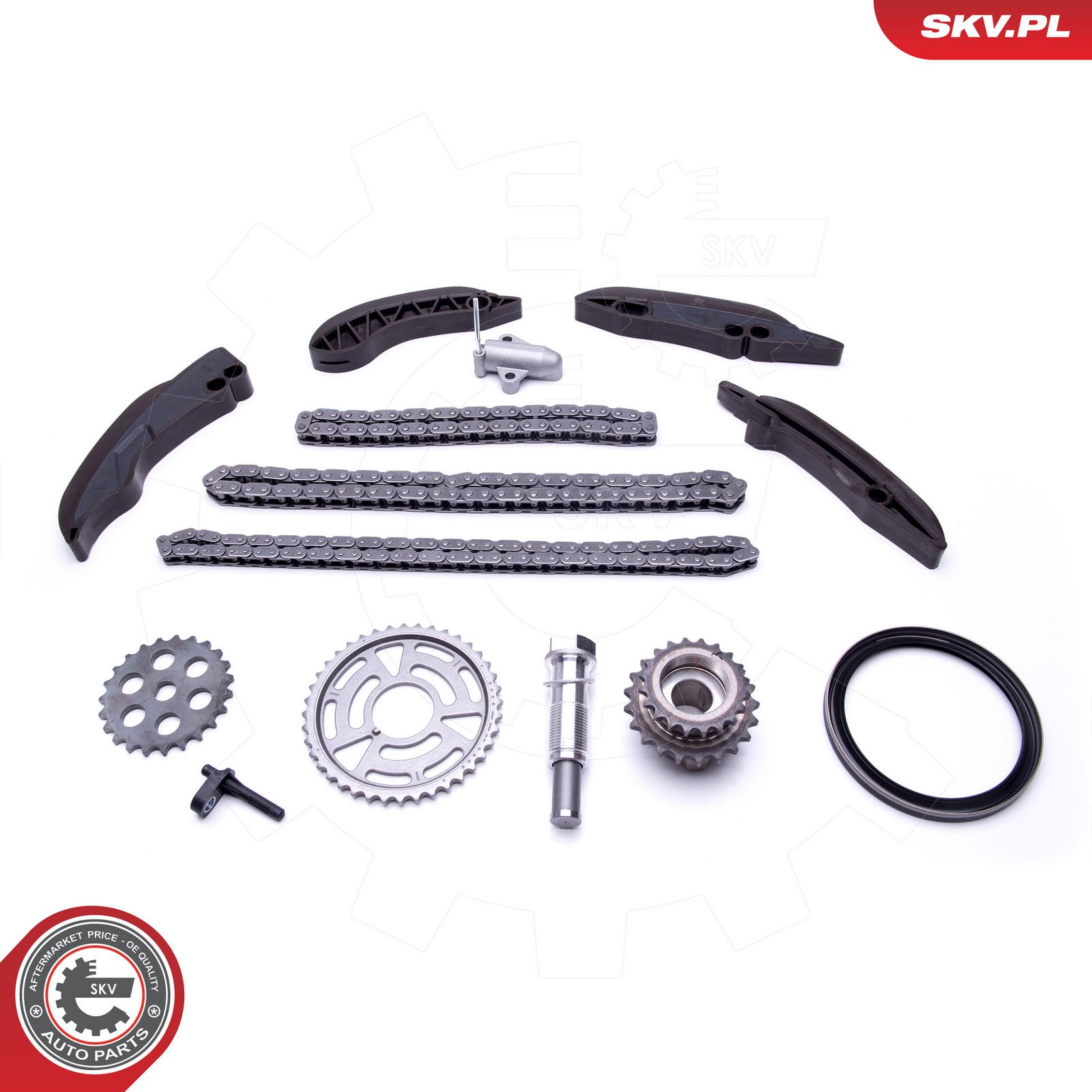 ESEN SKV 21SKV196 Timing chain kit