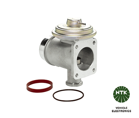 EGR Valve-1