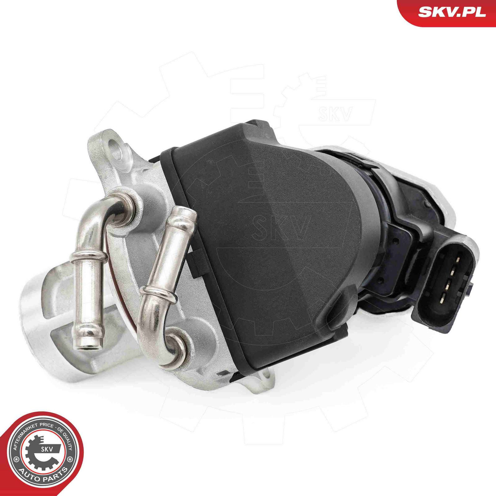 EGR Valve-5