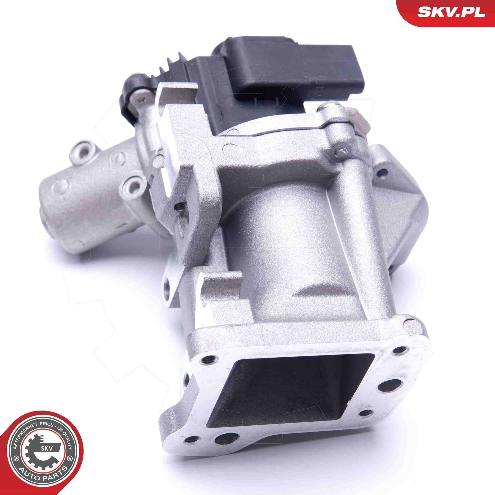 EGR Valve-1