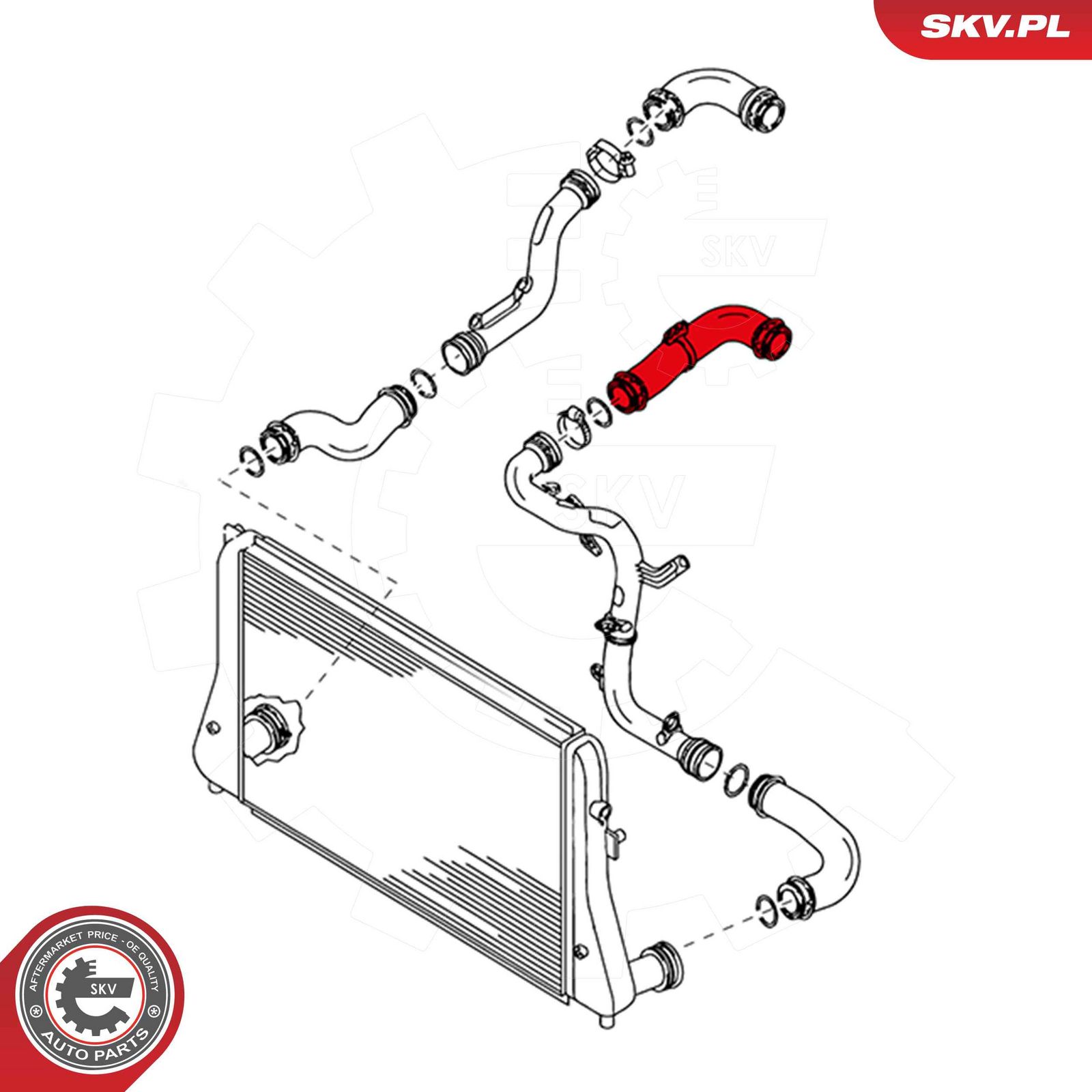 Charge Air Hose-1