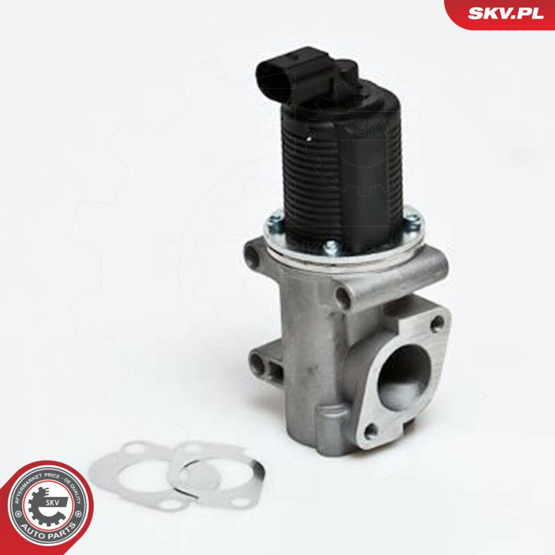 EGR Valve-2