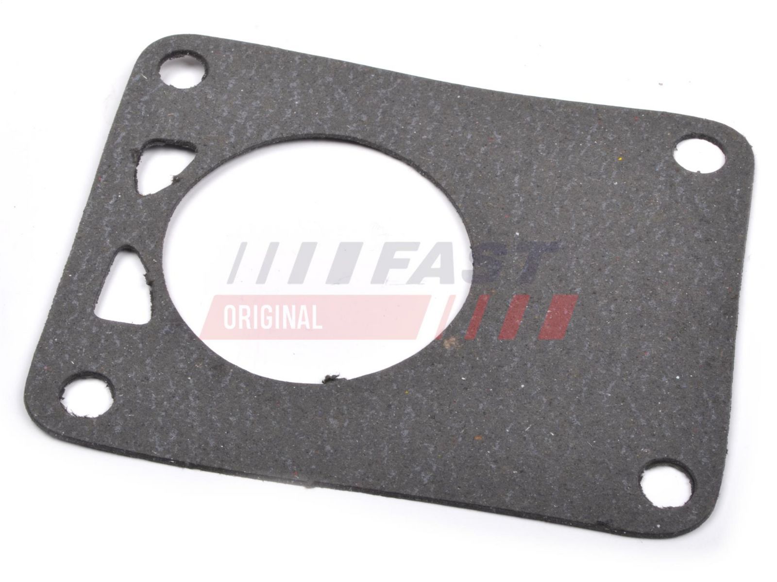 FAST FT49901 Gasket, vacuum pump