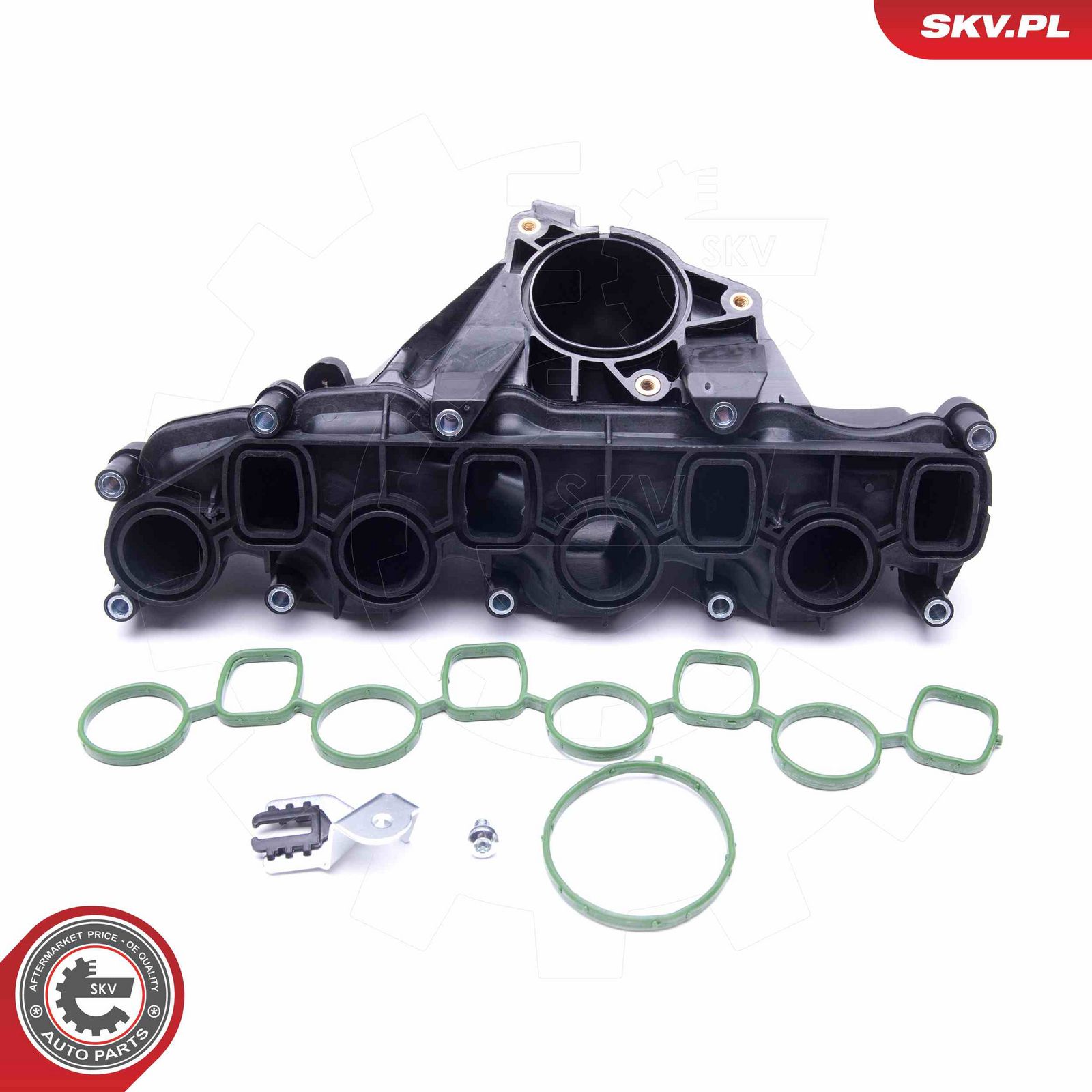 ESEN SKV 49SKV041 Intake manifold module