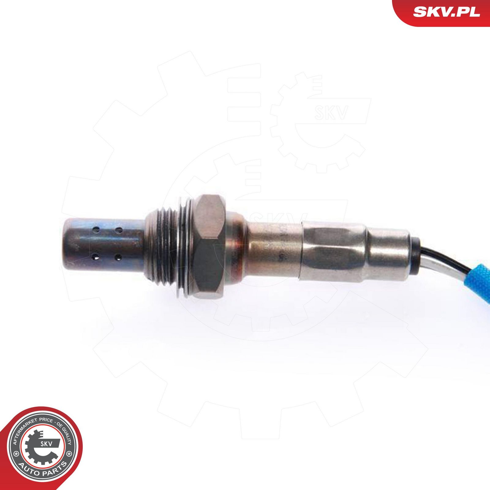 Oxygen Sensor-2