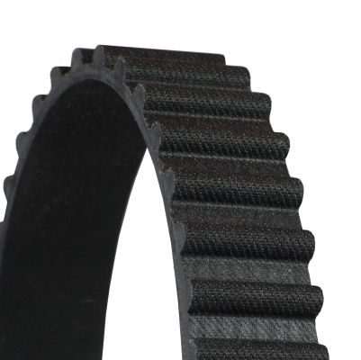 Timing Belt-1