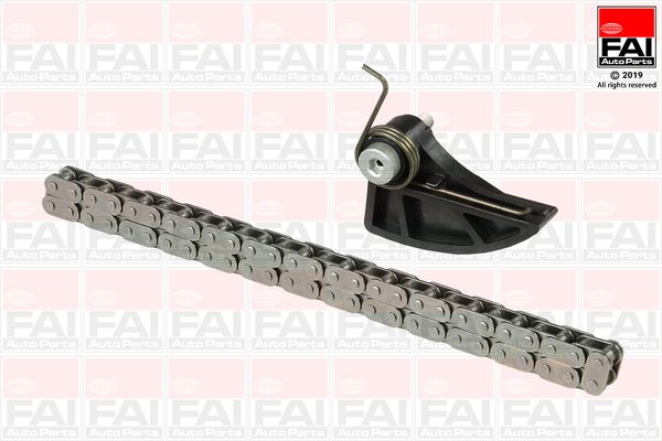 FAI AUTOPARTS OPCK87 Chain, oil pump drive