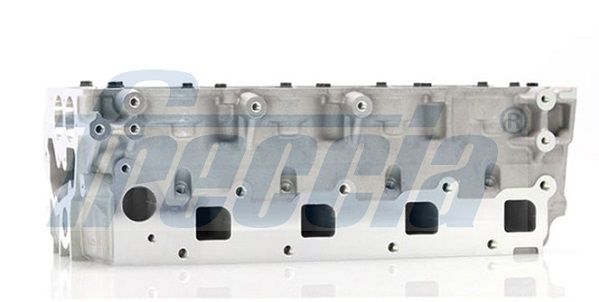 Cylinder Head-6