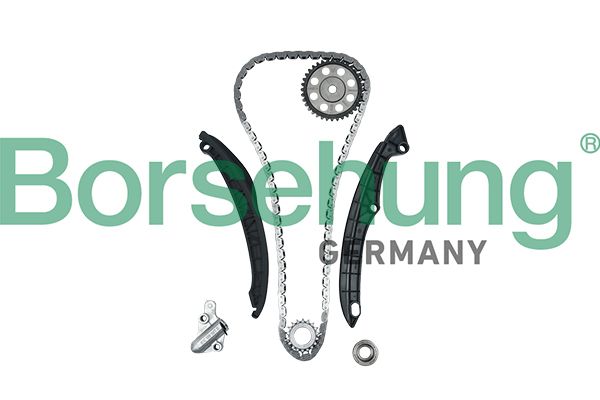 BORSEHUNG B18824 Timing chain kit