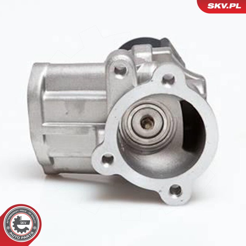 EGR Valve-1