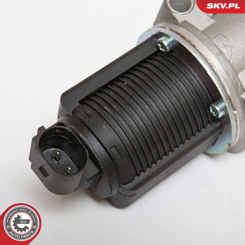 EGR Valve-3