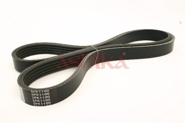ASHIKA 112-5PK1100 V-ribbed belt