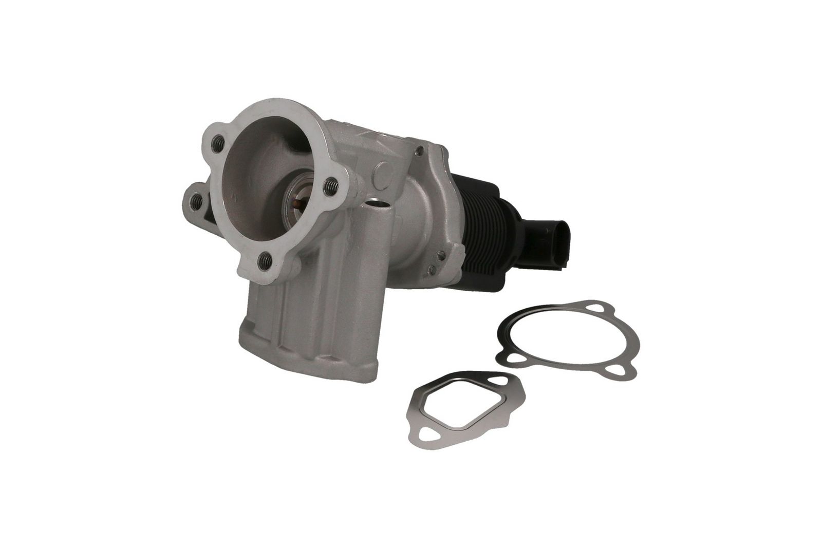 EGR Valve-1