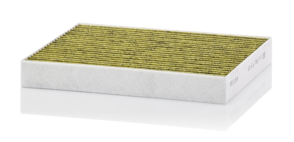 MANN-FILTER FP 24 024 Filtras, salono oras