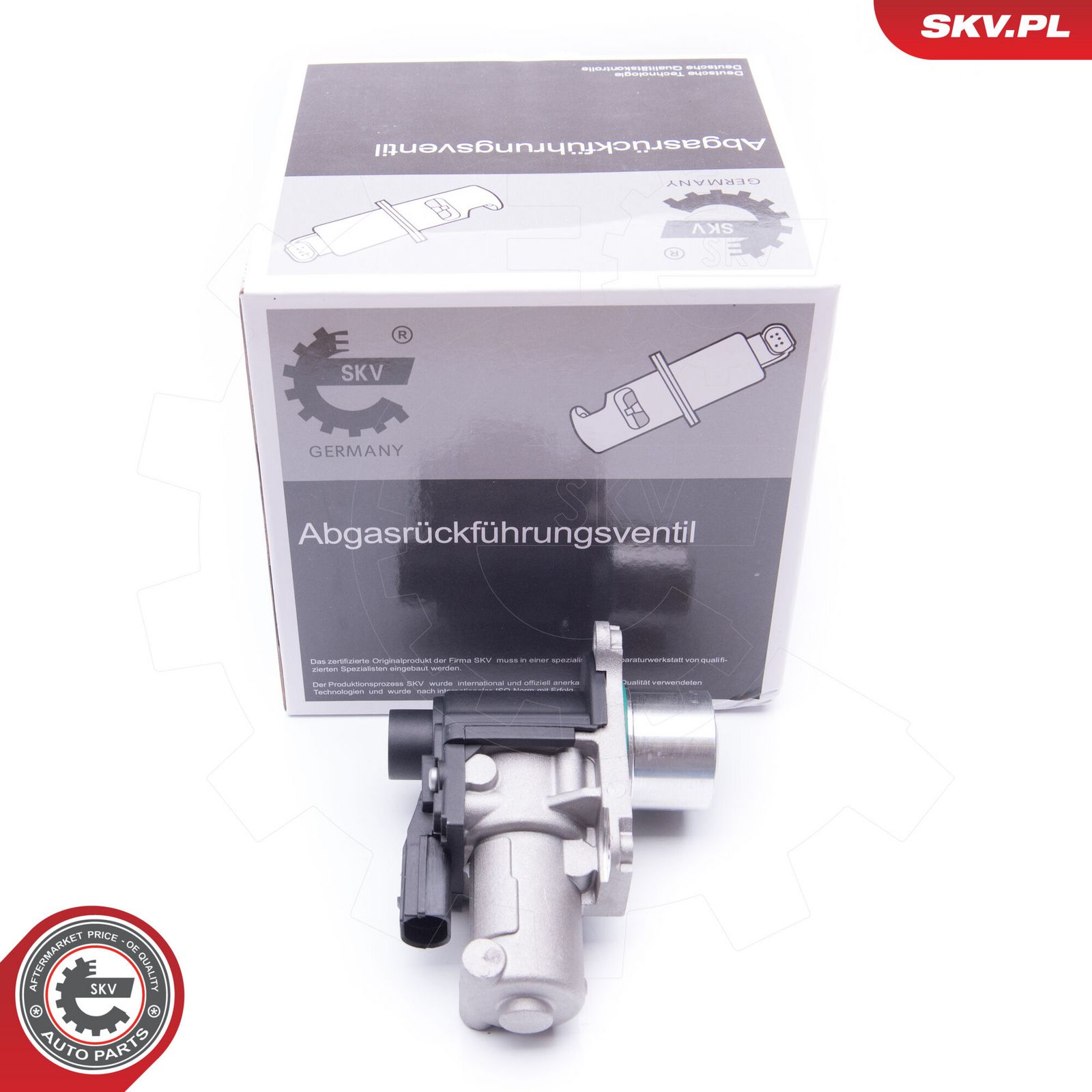 EGR Valve-4