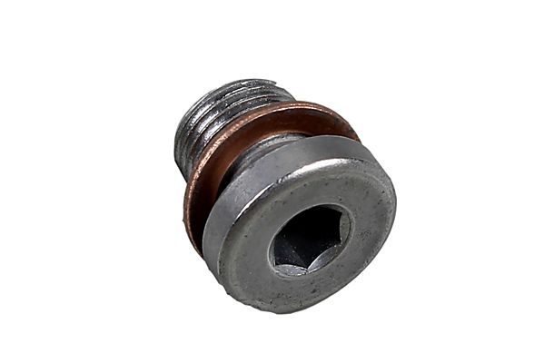 Screw Plug, oil sump