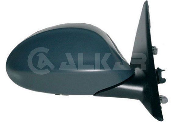 Exterior Mirror