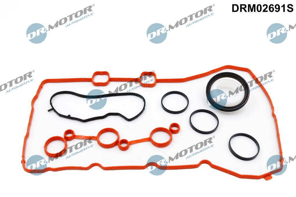 DR.MOTOR AUTOMOTIVE DRM02691S Gasket kit, timing case