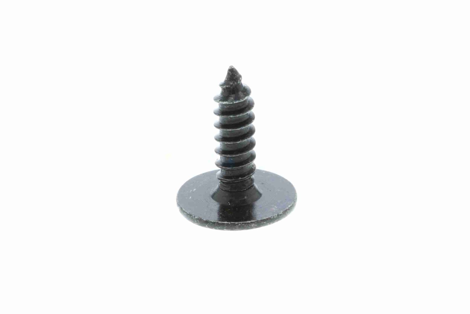 Screw-8