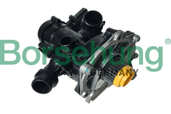 BORSEHUNG B18971 Water pump, engine cooling