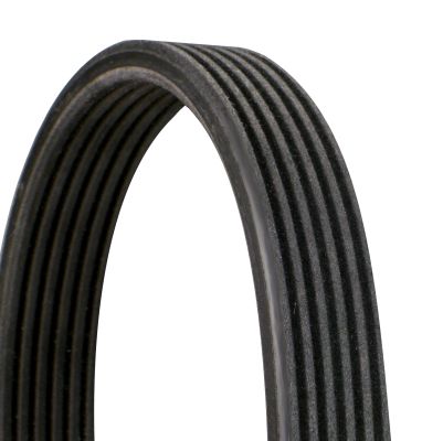 CONTINENTAL CTAM 6DPK1195 V-ribbed belt