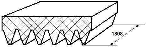 V-ribbed Belt-1
