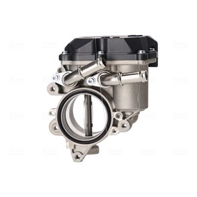 Throttle Body-1
