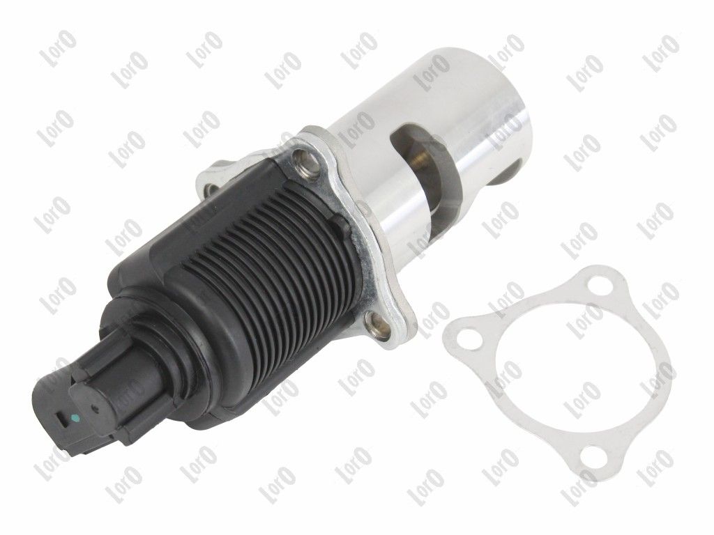 EGR Valve-1